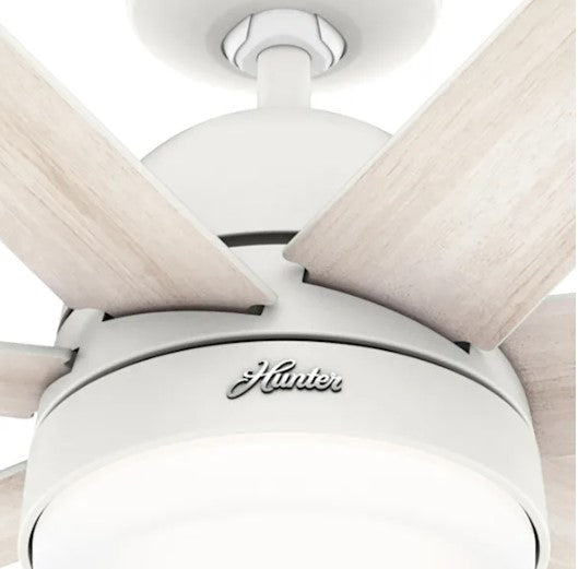 60" LED Phenomenon Fan