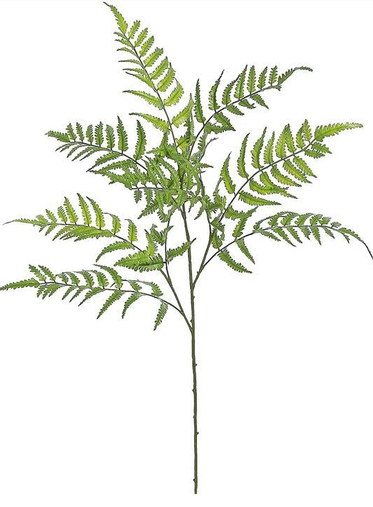 34" Forest Fern Spray