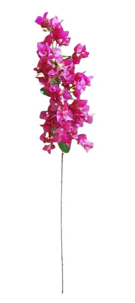 40" Bougainvillea - Cerise