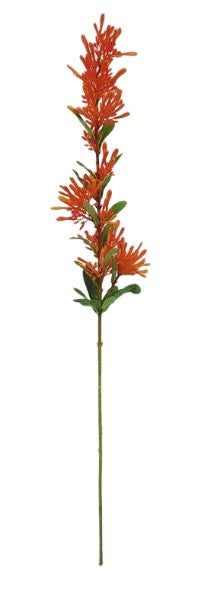 36" Scarlet Fire Spike - Orange