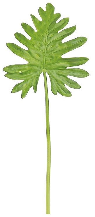 29" Monstera Leaf - Green