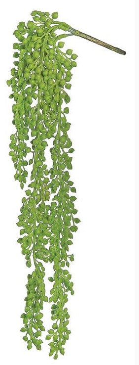 21" Cascading Mini Succulent