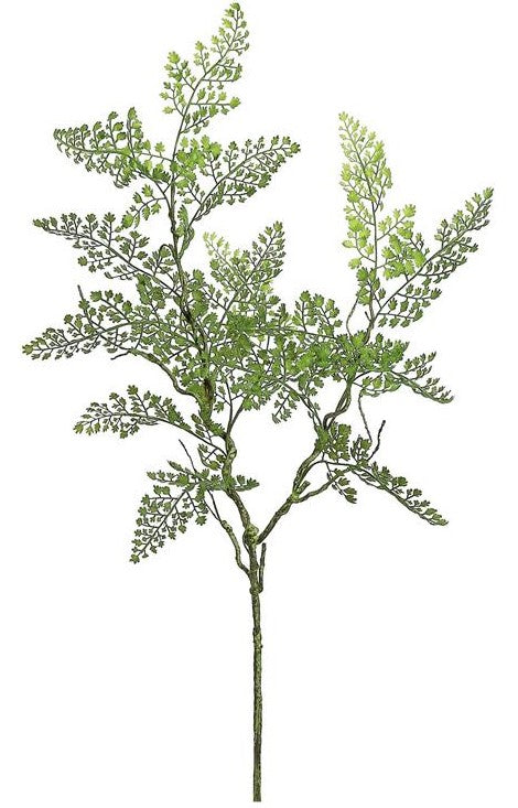33" Maidenhair Fern Spray - Green