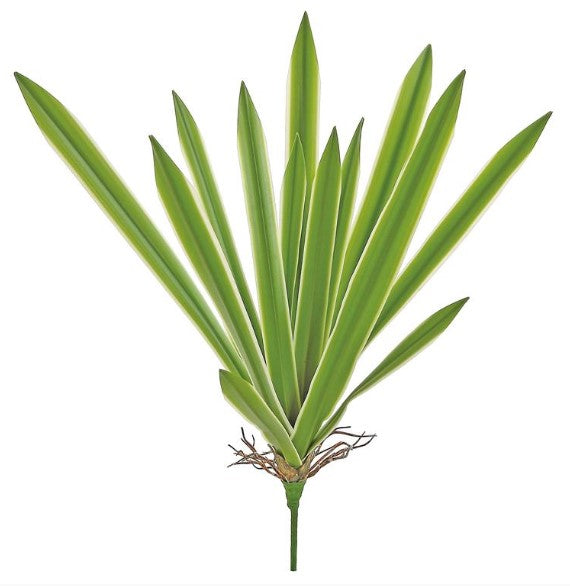 21" Yucca Leaf Plant - Green/Cream