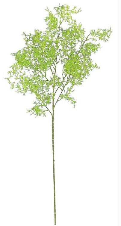 36" Sweet Annie Spray - Green