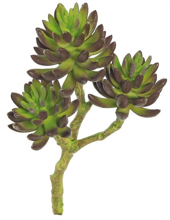 12" Cluster Succulent - B/G