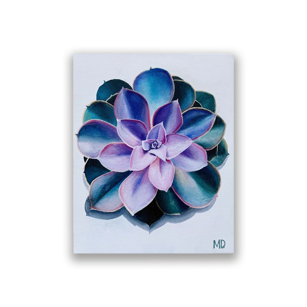 succulent prints 8x10" Giclee Succulent Print