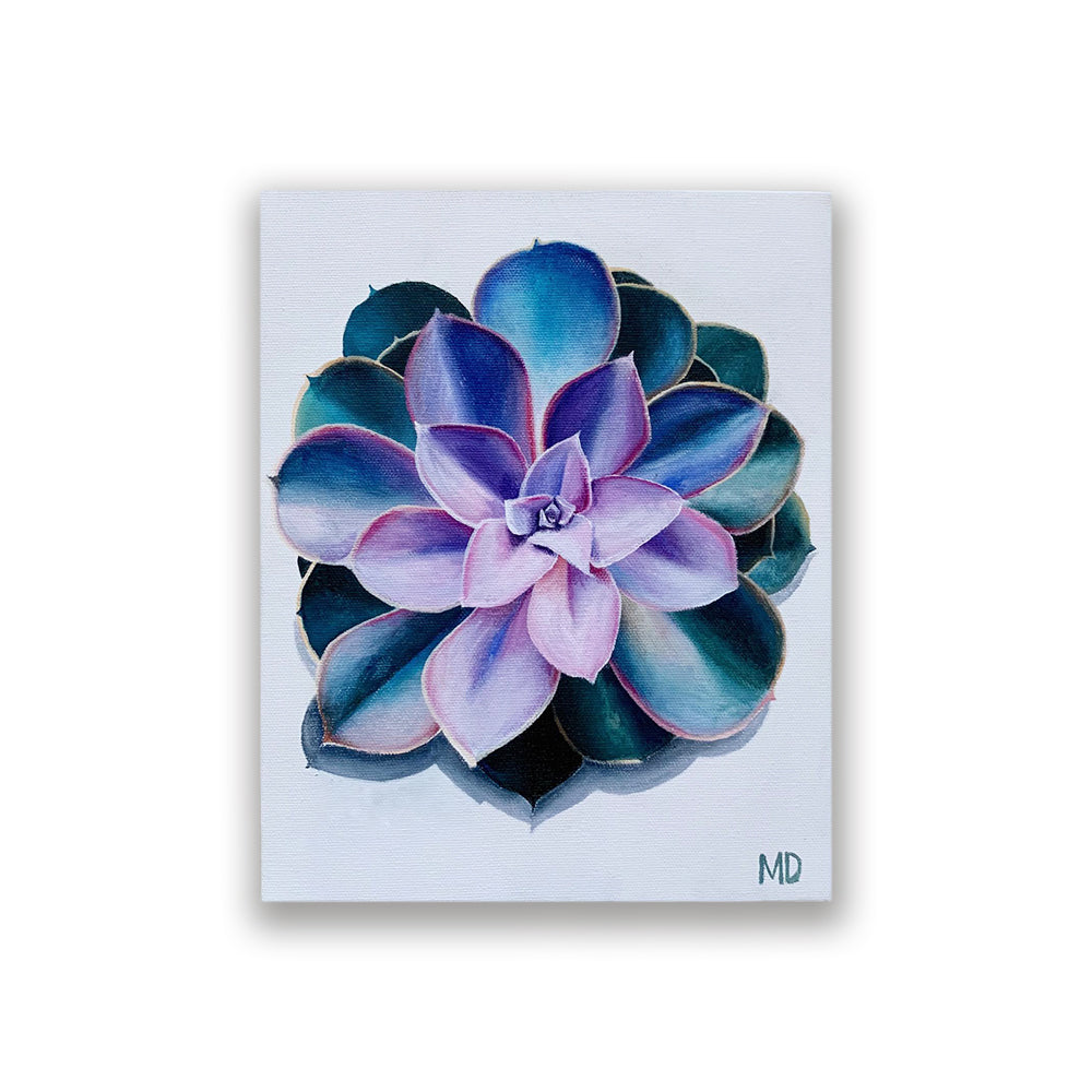 8x10" Giclee Succulent Print - Teal