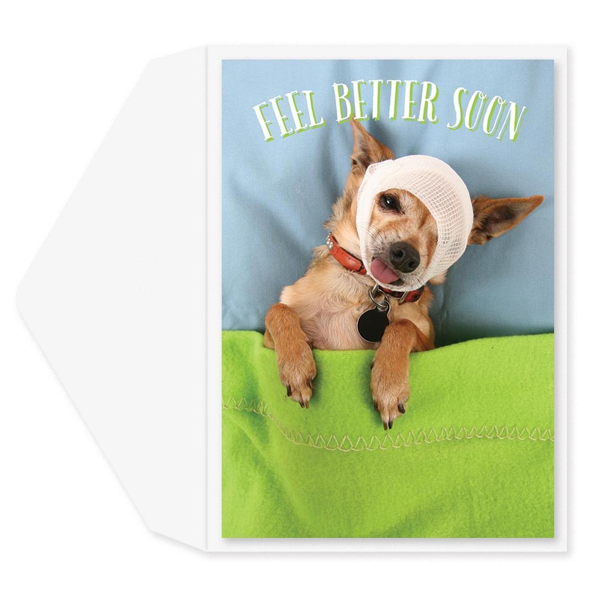 Feel Better Chihuahua