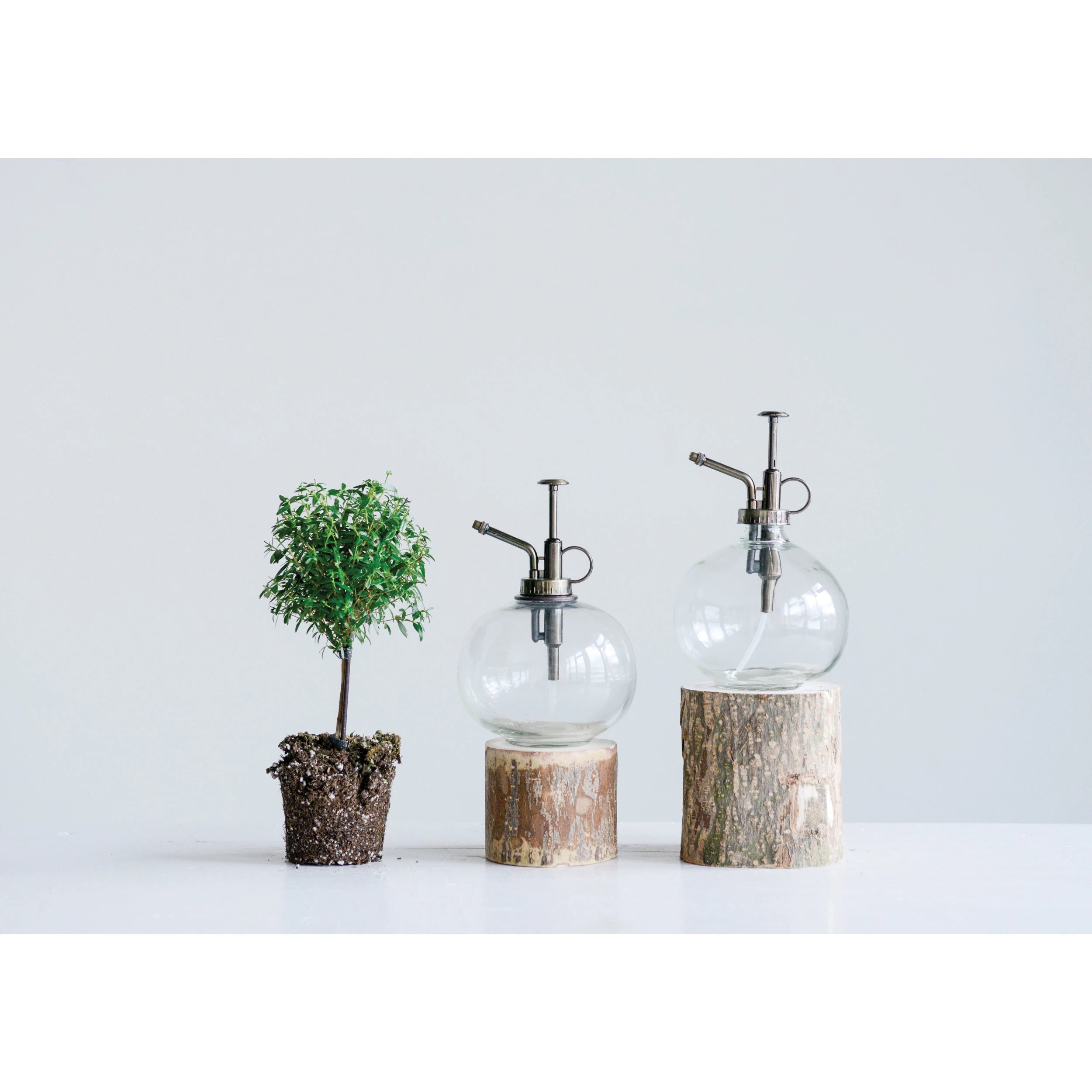 7" Glass Plant Mister