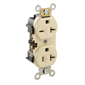 Dual Voltage Duplex Receptacle