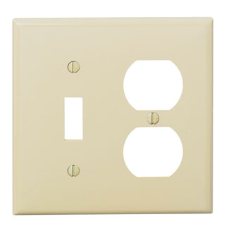 2G Toggle Switch x Duplex Receptacle Plate