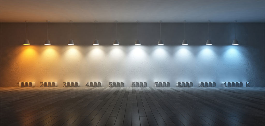 6W Frosted G25 Bulbs