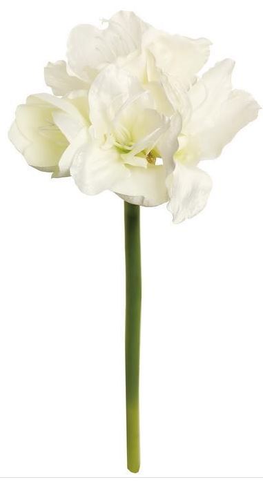 21" Amaryllis w/ Bud - Cream