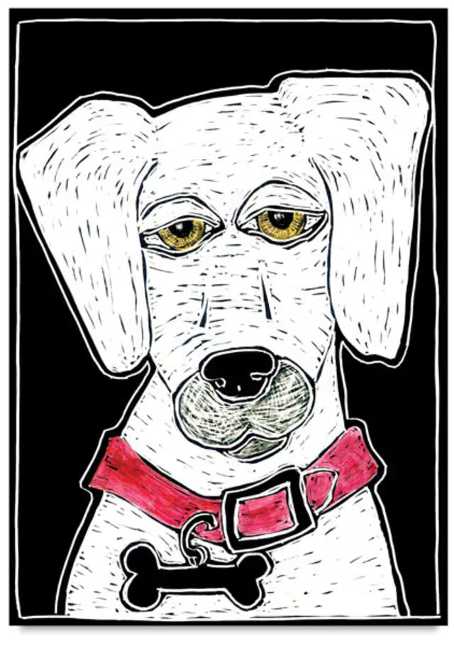 Scratchbord Kits 5x7