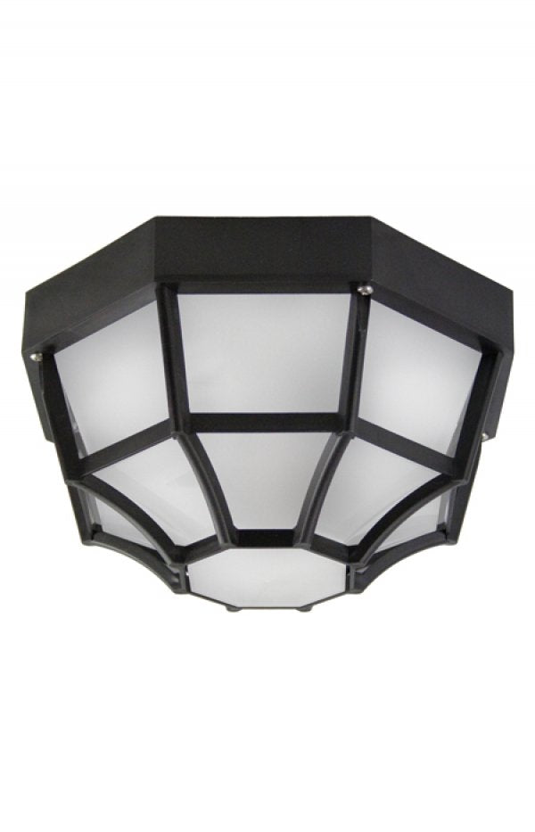 167 Web Outdoor Ceiling Light