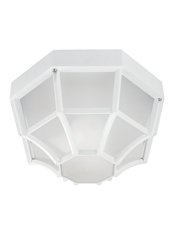 167 Web Outdoor Ceiling Light