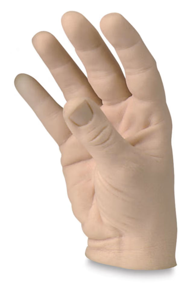 Male Hand Model