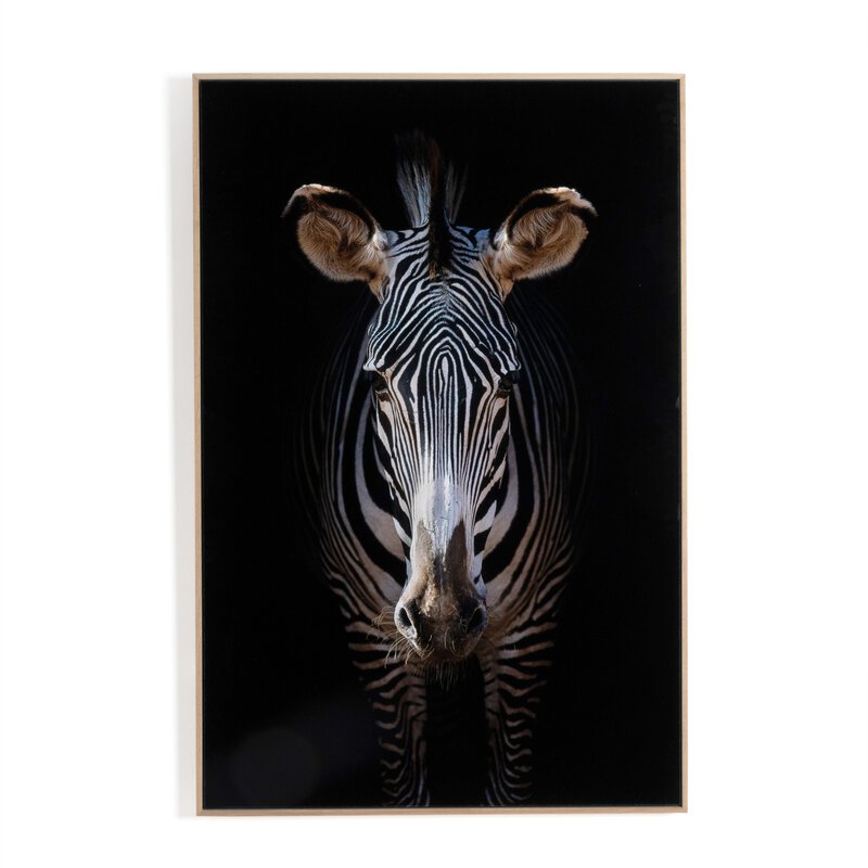 Zebra Stare, Framed 32" x 48"