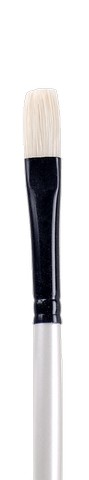 Brush/Long Handle/Bright 2