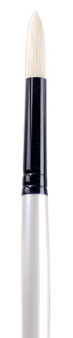 Brush/Long Handle/Bright 2