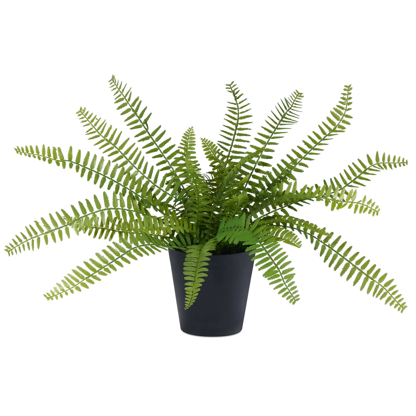 Sword Fern, Faux/Potted/14"