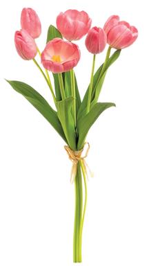 18" Tulip Bundle - Ceris