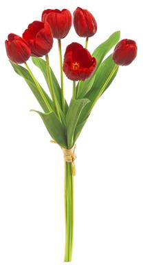18" Tulip Bundle - Red