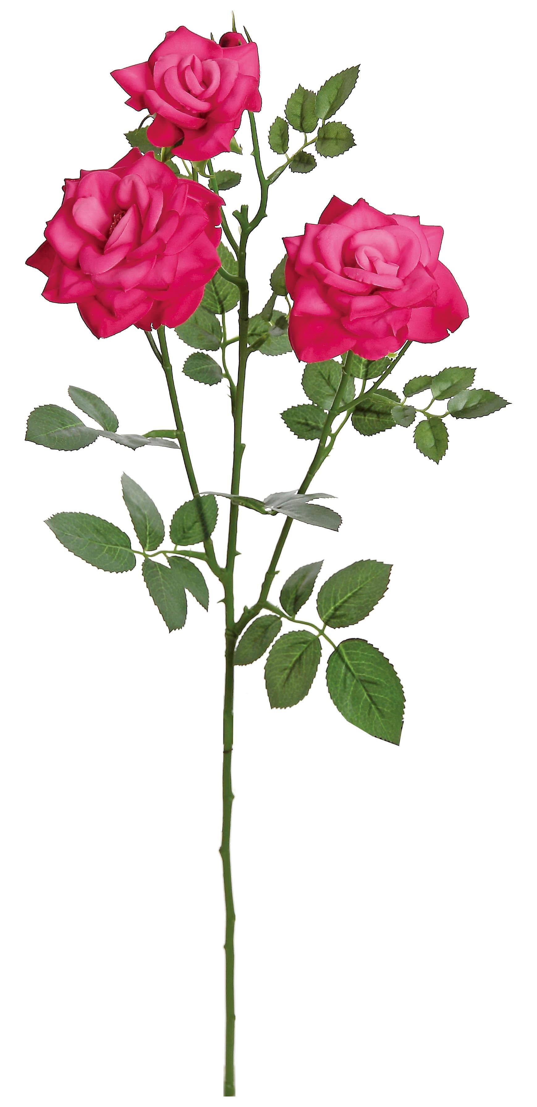 24" Curled Garden Rose HotPink