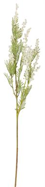 34" Mimosa Spray x5 - White