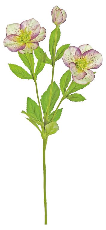 19" Hellebore Spray - Plum
