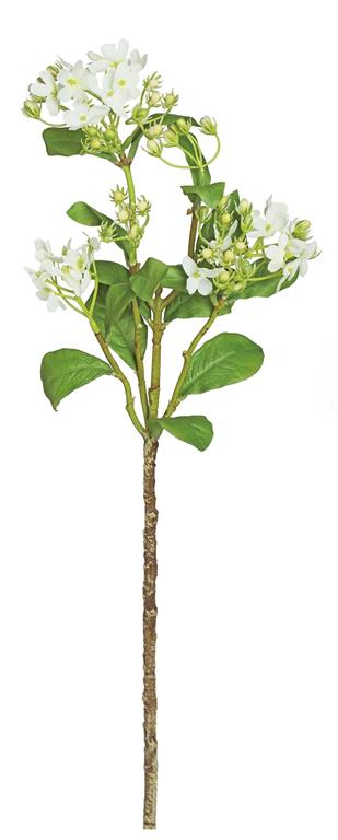 Wild Blossom Spray, 22"/Cream