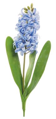 15" Natural Touch Hyacinth - B