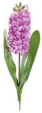 15" Natural Touch Hyacinth - C