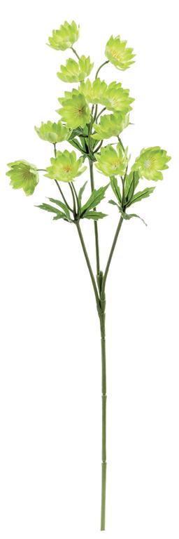 Lewisias Spray, 25.5"/Green