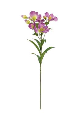 24" Alstroemeria x10 - Fuchsia