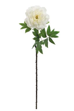 34" Japanese Peony - White