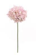 21" Garden Hydrangea WOL - Lav
