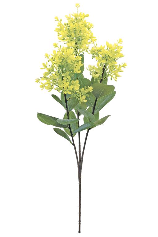 Seeded Peegee Hydrag., 29"/YEL