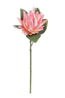 22" Protea x1 - Mauve/Yellow