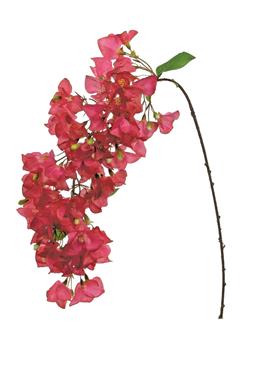 40" Bougainvillea - Fuchsia