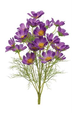 22" Cosmos Bush - Purple