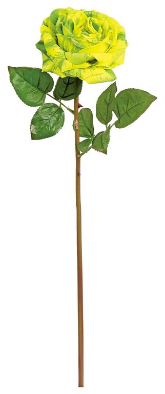 English Rose, 22"