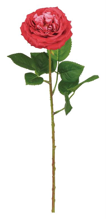 Ruffle Tea Rose, 20"/Red