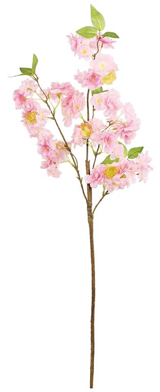 35" Cherry/Flower - Beauty