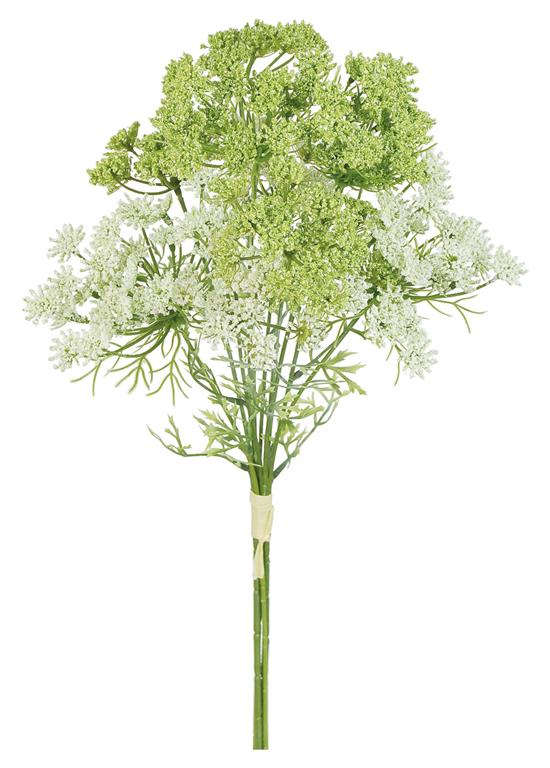 Queen Anne's Lace, 19.5"
