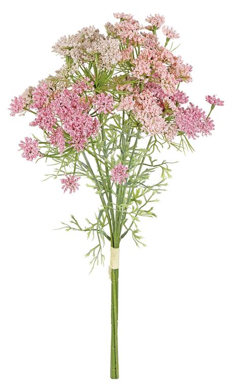 Queen Anne's Lace, 19.5"