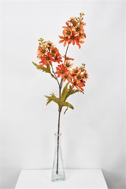 27.5" Lacecap Hydrangea - Oran