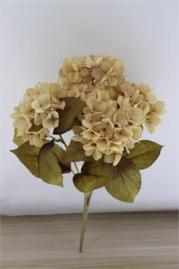 16" Hydrangea Bush x5 - C/B