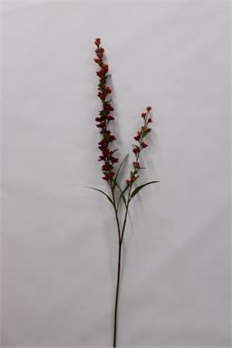 30" Flowering Astilbe - Rust